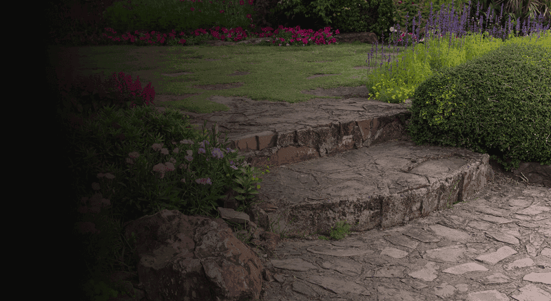 Professional outdoor services